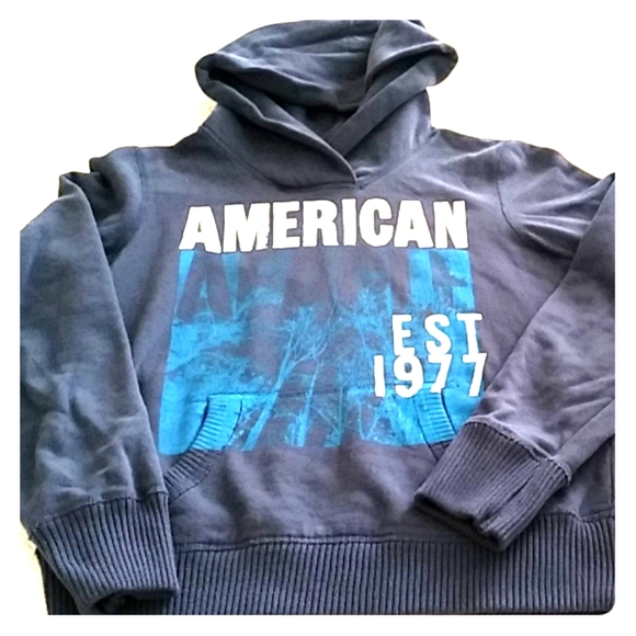 American Eagle Outfitters Tops - American Eagle Outfitters navy sweatshirt Sz m